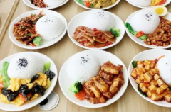食品模型在生活中有什么作用