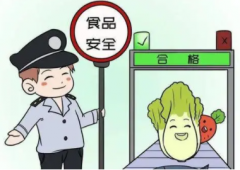 食品安全方面问题食品安全危害介绍