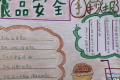 食品安全手抄报内容食品